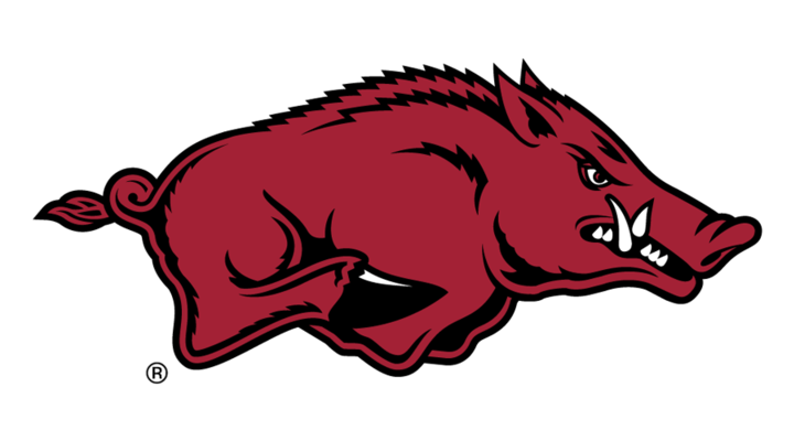 Arkansas Razorbacks